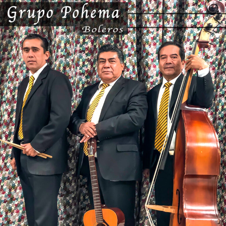 Grupo Pohema